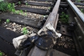 Трагедия на железной дороге унесла жизни пяти мужчин.