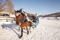 Клуб конного туризма «КонТур» предлагает свои подарки к Новому году.
