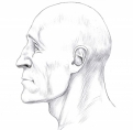 Ученые реконструировали лицо одного из первых амурчан — защитника Албазинского острога.