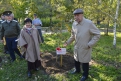 Вместе с супругой В. С. Муравьев-Амурский посадил фамильное дерево.