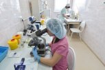 Медцентр Амурского ГПЗ помогает лабораториям Благовещенска исследовать тесты на ковид
