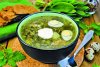Ингредиенты из-под забора: летние супы с крапивой, капустой, грибами от Марии Подручной