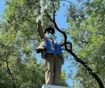Ленина приняли в моряки: памятник вождю в Благовещенске нарядили в тельняшку и бескозырку