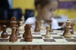 Игра с матами: в Благовещенске после сериала «Ход королевы» вошли в моду шахматы