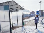 Амурские активисты ОНФ призвали местные власти запустить автобус по улице Василенко в Чигирях