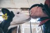 Курс на полное молочное самообеспечение: новую ферму достраивают в Тамбовском районе