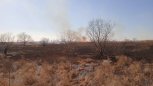 Огненная угроза: первые весенние палы подошли к амурским селам