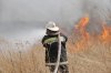 Борьба за хатку: на тушении крупного пала амурские огнеборцы спасли жилище ондатры