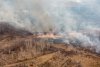 Огонь уничтожил четыре садовых домика в Магдагачинском районе