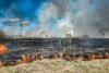 У пожара есть имя и отчество: в Приамурье дачники и рыбаки заплатят полумиллионные штрафы за поджоги
