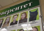 «Популярнее только ректор»: черный кот Сажик оказался на доске почета Дальневосточного ГАУ