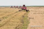 Амурские сельхозпредприятия получат четыре миллиона рублей за практикантов