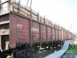 В Приамурье расследуют уголовное дело по экспорту древесины на 60 миллионов рублей