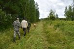Две амурчанки отправились за грибами в лес возле Райчихинска и заблудились