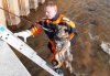 В Благовещенске спасатели помогли собаке выбраться из воды