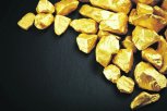 Амурские пограничники не дали вывезти из региона слиток золота в полкило