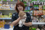 В зоомагазинах Благовещенска просят не покупать кроликов ради забавы:сколько стоит живой символ года