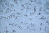 Переменная облачность и небольшой снег: прогноз погоды в Приамурье на 13 марта
