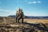 Динозавров на Михайловских столбах сфотографировала жительница Амурской области (фото)