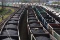 Амурчанин в одиночку украл почти две тонны угля со станции. Фото: Забайкальское ЛУ МВД на транспорте