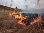 Четыре лесных пожара разгорелись в Шимановском округе из-за поджигателя травы