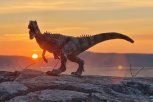 Про новую амурскую ГЭС, динозавров, золотую рыбку и Хэйхэ: 10 самых популярных материалов весны—2023