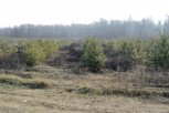 В Амурской области прополют 2,4 тысячи гектаров леса