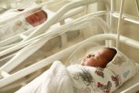 Выплаты от государства при рождении детей получили более 5,2 тысячи амурских семей