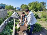 Около 200 жителей и организаций Приамурья поделились рассадой огородных культур с нуждающимися