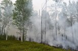В Зейском округе потушили природные пожары на площади почти 7 тысяч гектаров