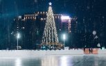 Шимановцы выбирают между новой елью на площади и благоустройством снежного городка