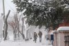 Небольшой снег выпадет в Приамурье в последний день ноября