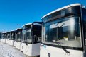 В Благовещенск завезли девять новых автобусов для перевозки пассажиров. Фото: admblag.ru