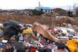 Зола, стеклотара и картон: в Амурской области ликвидировали 34 несанкционированные свалки