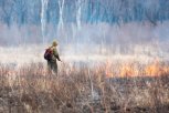 Амурская область получит на тушение лесных пожаров свыше 112 миллионов рублей