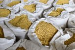 Амурская область отправила на экспорт более 15 тысяч тонн зерна