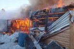В селе Тамбовского округа в пожаре сгорели куры и утки