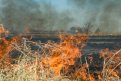 Амурская область готовится к пожароопасному сезону 2024 года. Фото: Алексей Сухушин
