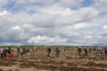 Амурская область перевыполняет план по лесовосстановлению и пресечению незаконных рубок