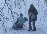 В Зее хозяйку напавшей на шпица бойцовской собаки оштрафовали на десять тысяч рублей