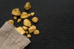 Более четырех килограммов золота нашел житель Зейского округа в лесу