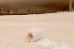 На Бурейской ГЭС наблюдают редкое природное явление: рулетики из снега