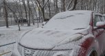 До +22 градусов, грозы, ветер и мокрый снег: погода в Амурской области в понедельник
