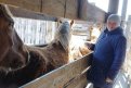 Фото: Станция по борьбе с болезнями животных по Завитинскому и Бурейскому округам