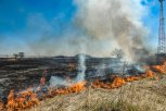 За сутки в Амурской области потушили два природных пожара