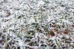Ливень, мокрый снег и похолодание вновь накроют Приамурье из-за глубокого циклона