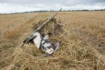 С начала охотсезона на водоплавающую дичь в Амурской области выявили 70 нарушений