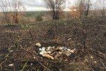 Огонь уничтожил будущее потомство фазанов в Свободненском районе