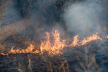 Высокий класс пожарной опасности установлен в 19 муниципалитетах Приамурья