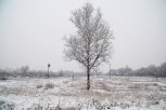 Слабый снег ждут в Приамурье завтра